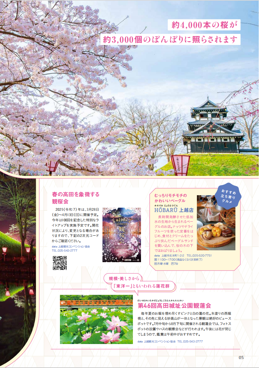 ニイガタ しっぽ旅 2025